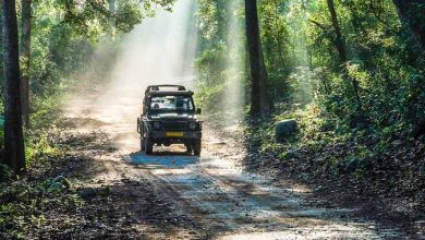 Ranthambore