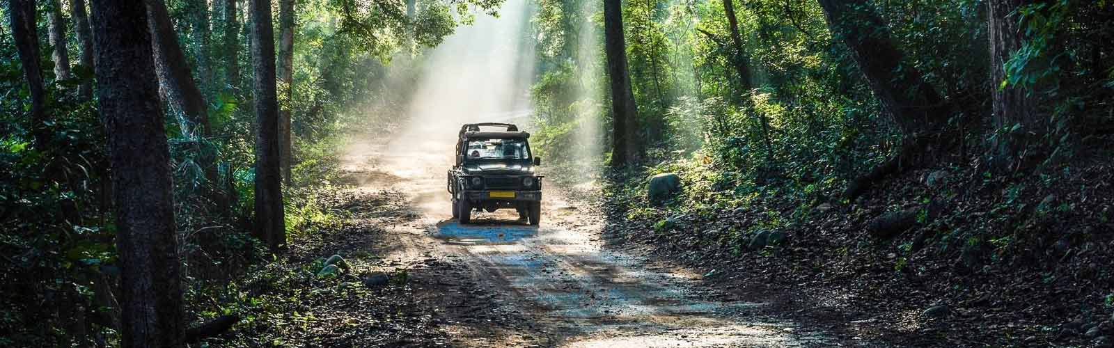 Ranthambore