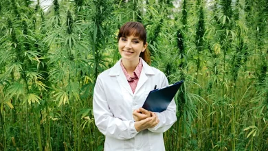 A New Dawn in Career Opportunities: Exploring Cannabis Production Jobs