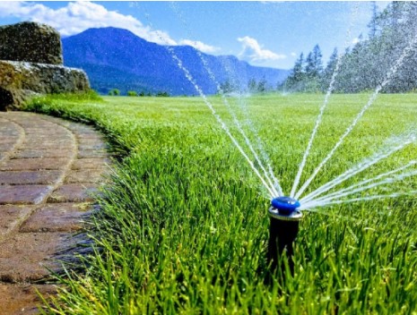 Why Is Sprinkler System Installation Important for Your Landscape