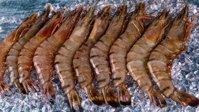 king-prawns