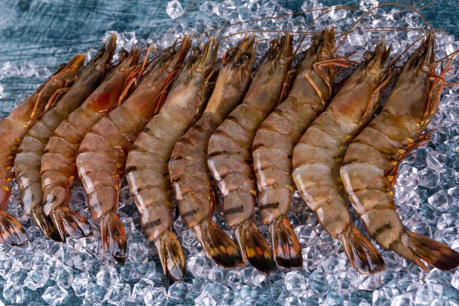 king-prawns